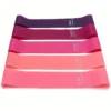 5pcs/set Portable Purple Haired Gradient Fitness Resistance Bands
