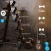 A-Frame Dumbbell Rack